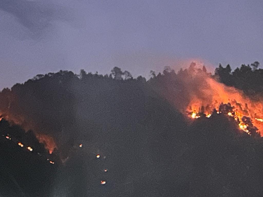 Pati and Mad forests blazing with fire