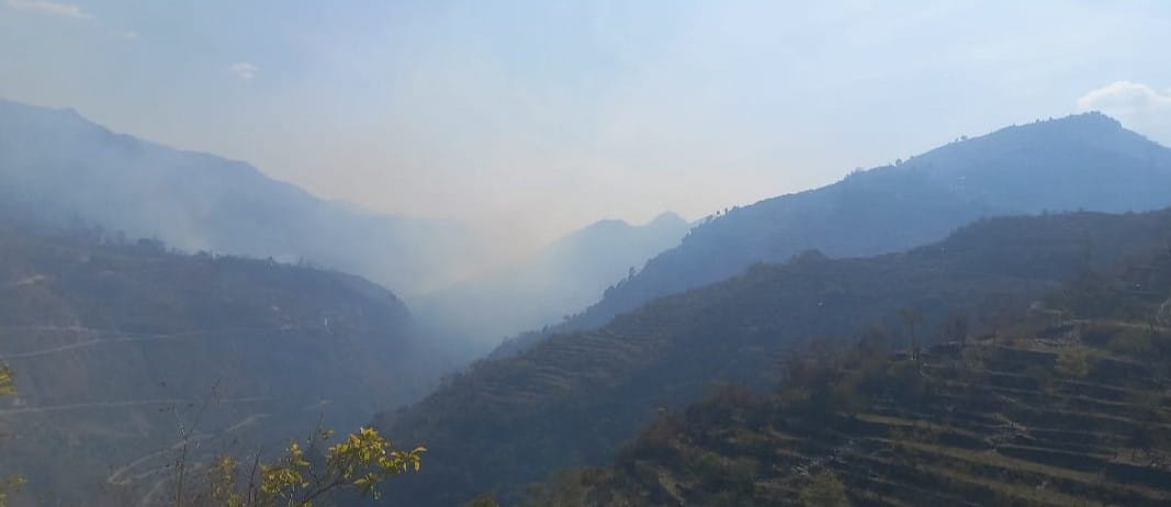 Forests of Ekeshwar block burning in fire