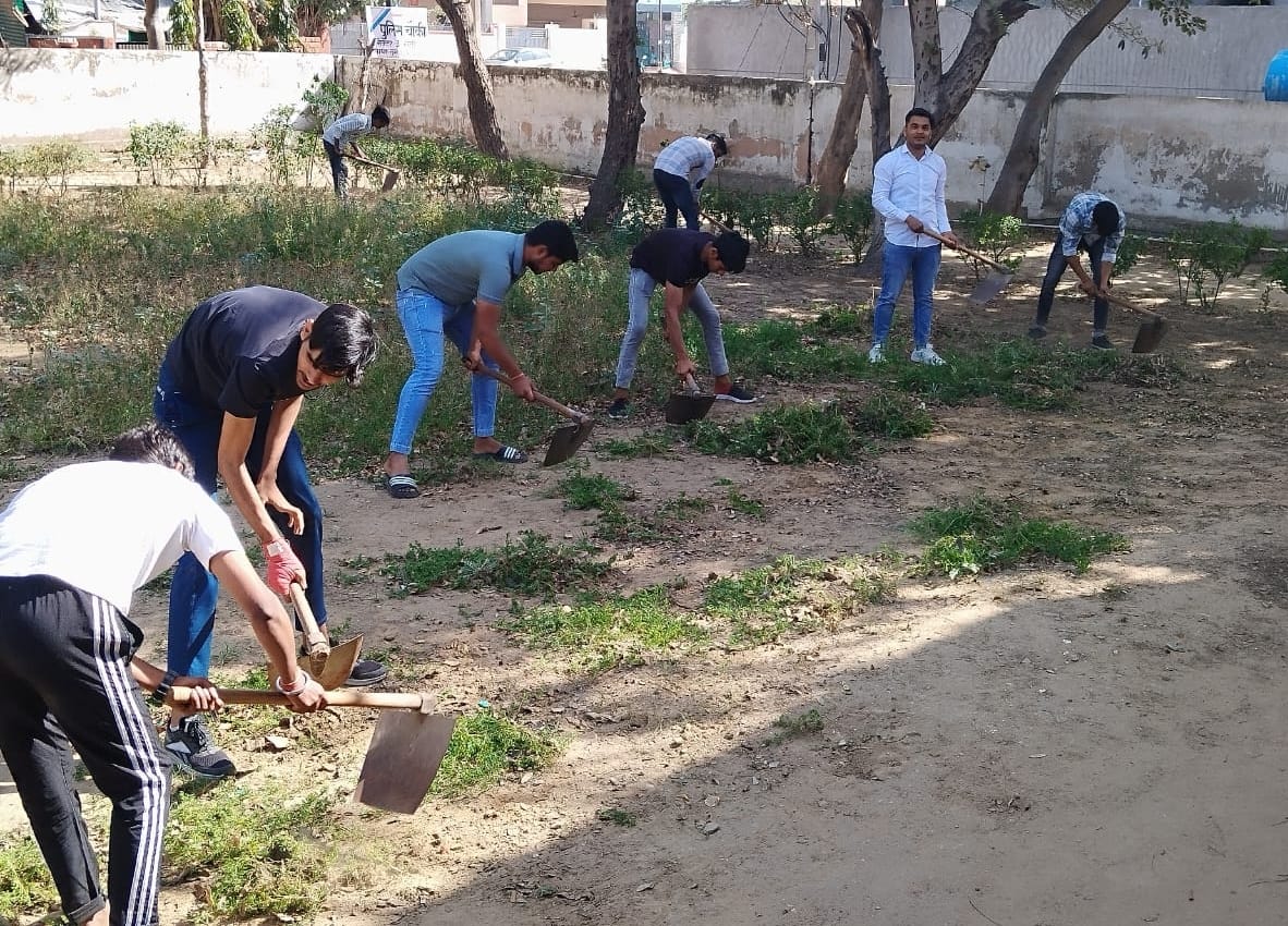Volunteers cleaned and planted trees