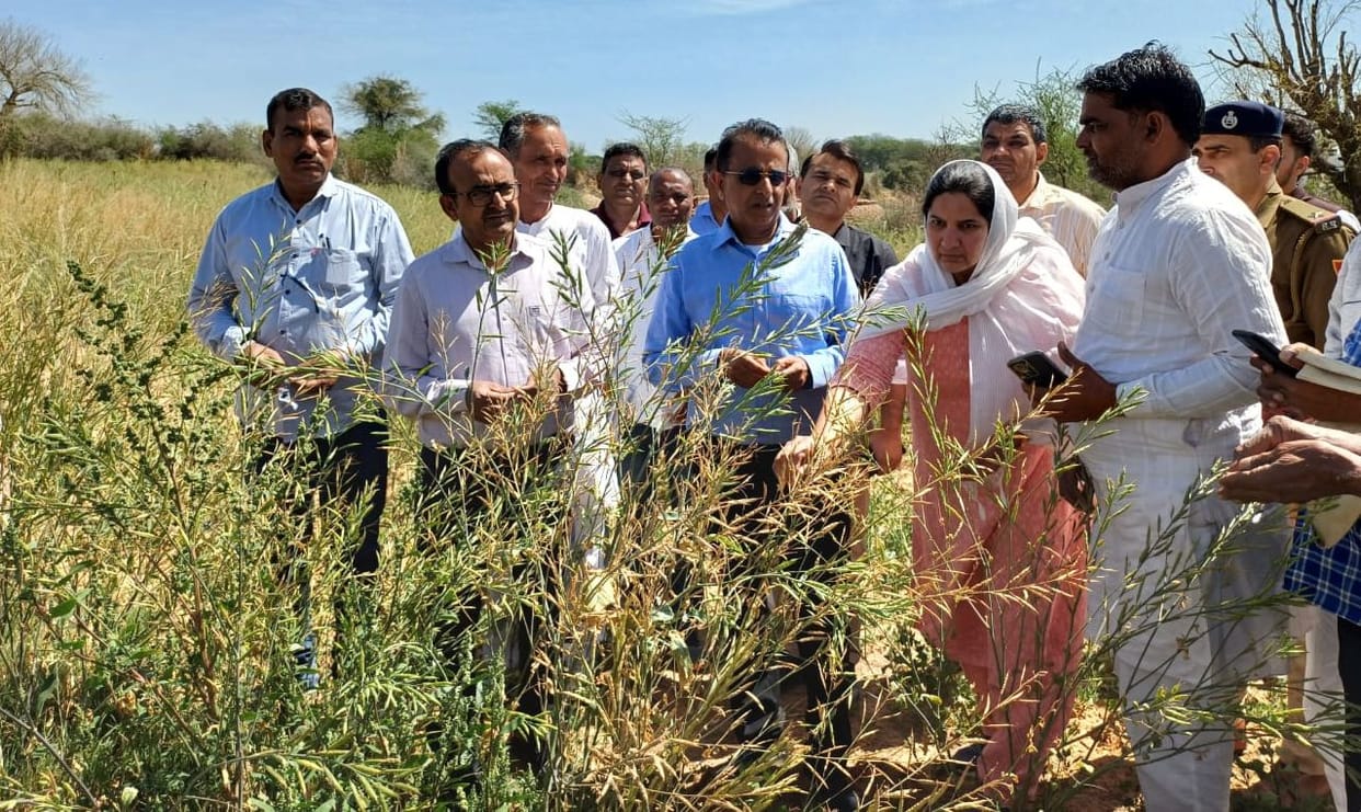 Patwari should go to the fields and do Girdawari on the spot.
