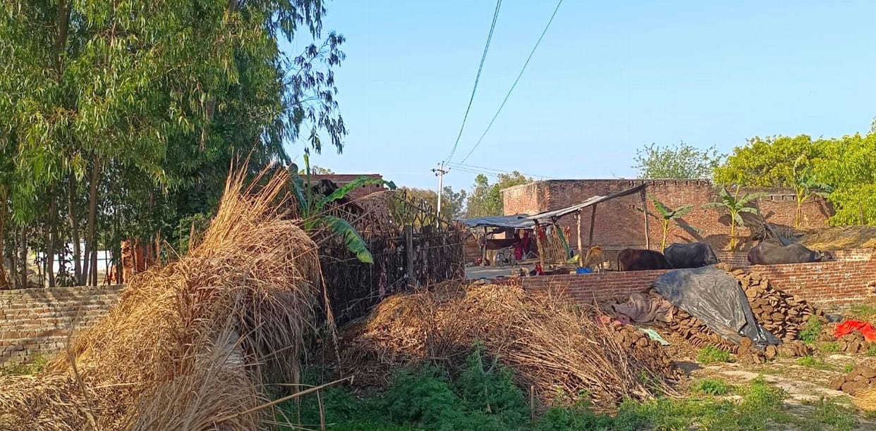Youth dies after touching high tension line bar