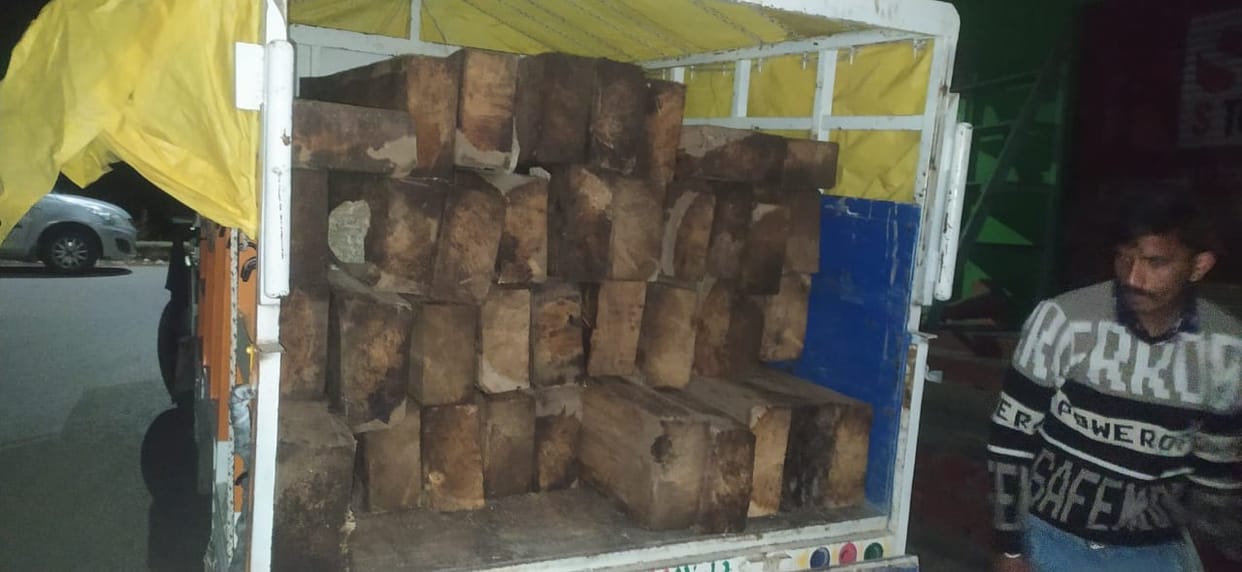 Jeep filled with cedar wood caught in Janjehli's Kanda