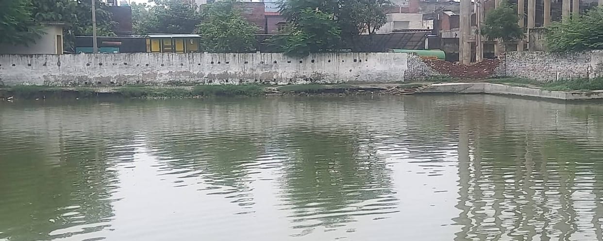 Seven ponds of the city will be rejuvenated