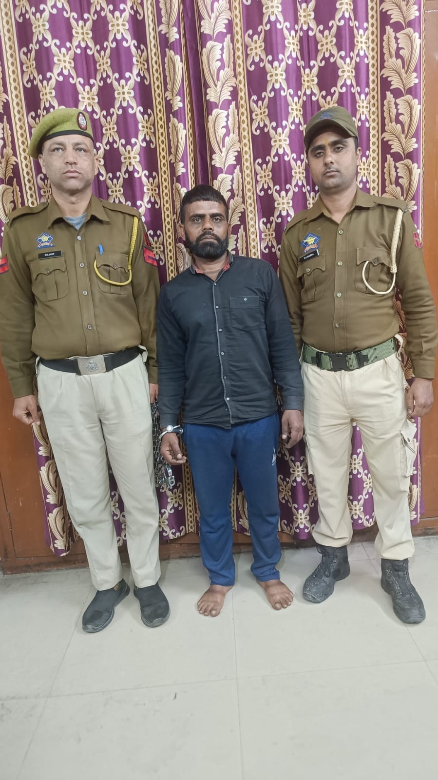 Stolen mare recovered, accused arrested