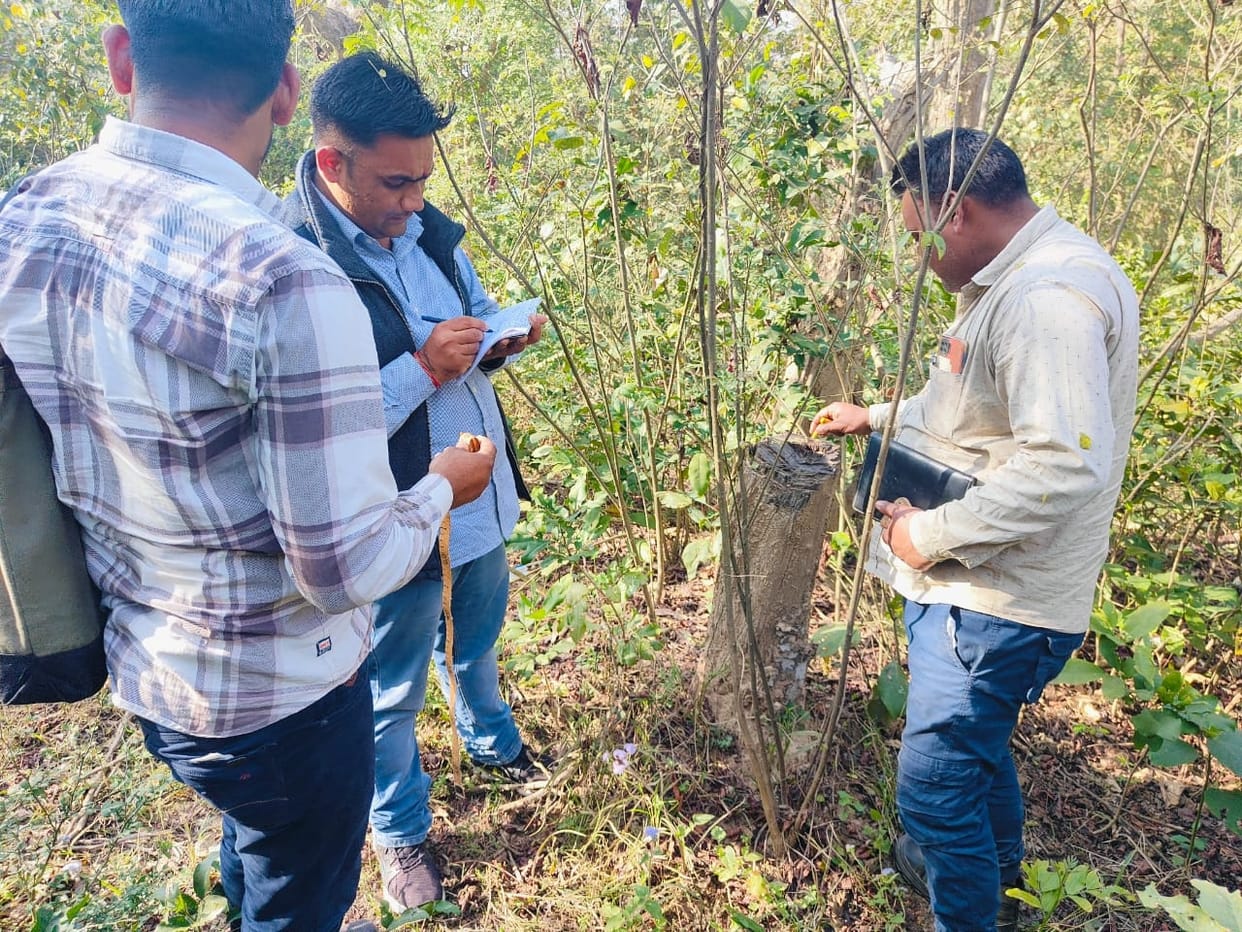 Illegal cutting of trees in forest area at the instigation of officers