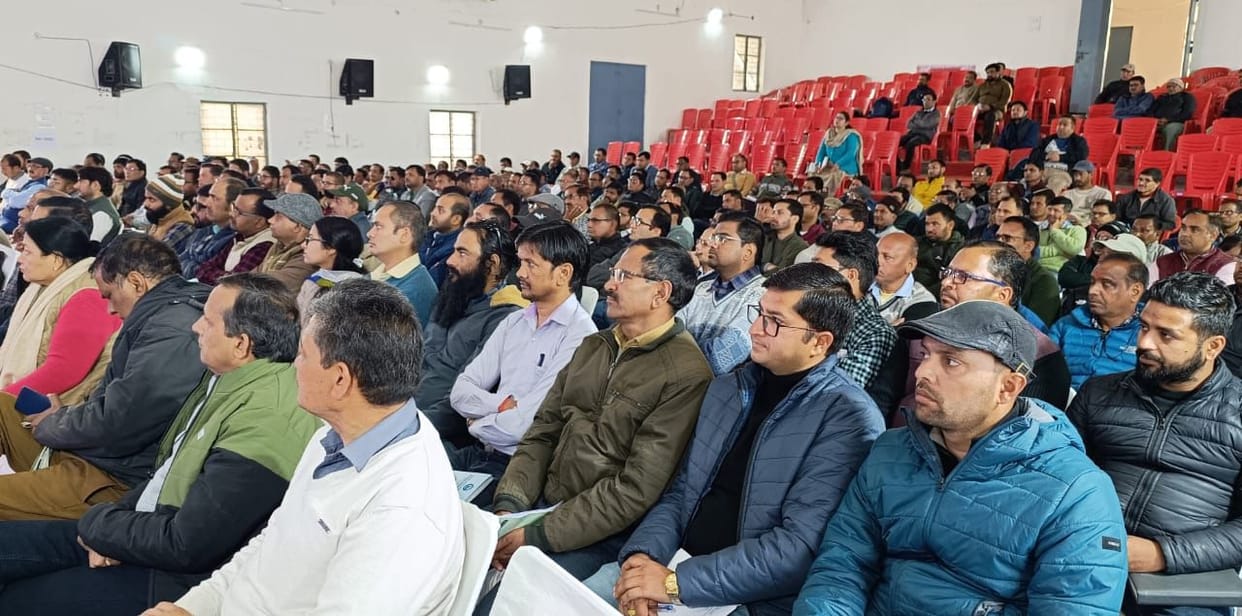 Pay special attention to punctuality and discipline in elections: DM