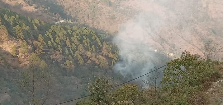 Fire broke out in Pamsyari forest, forest workers rushed to the spot