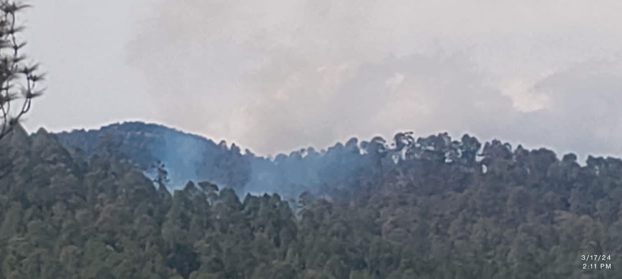 Fire At Bageshwar forest
