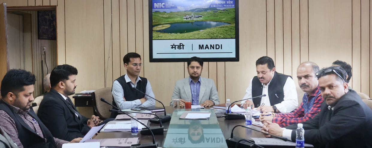 Plastic material will not be used for election campaign