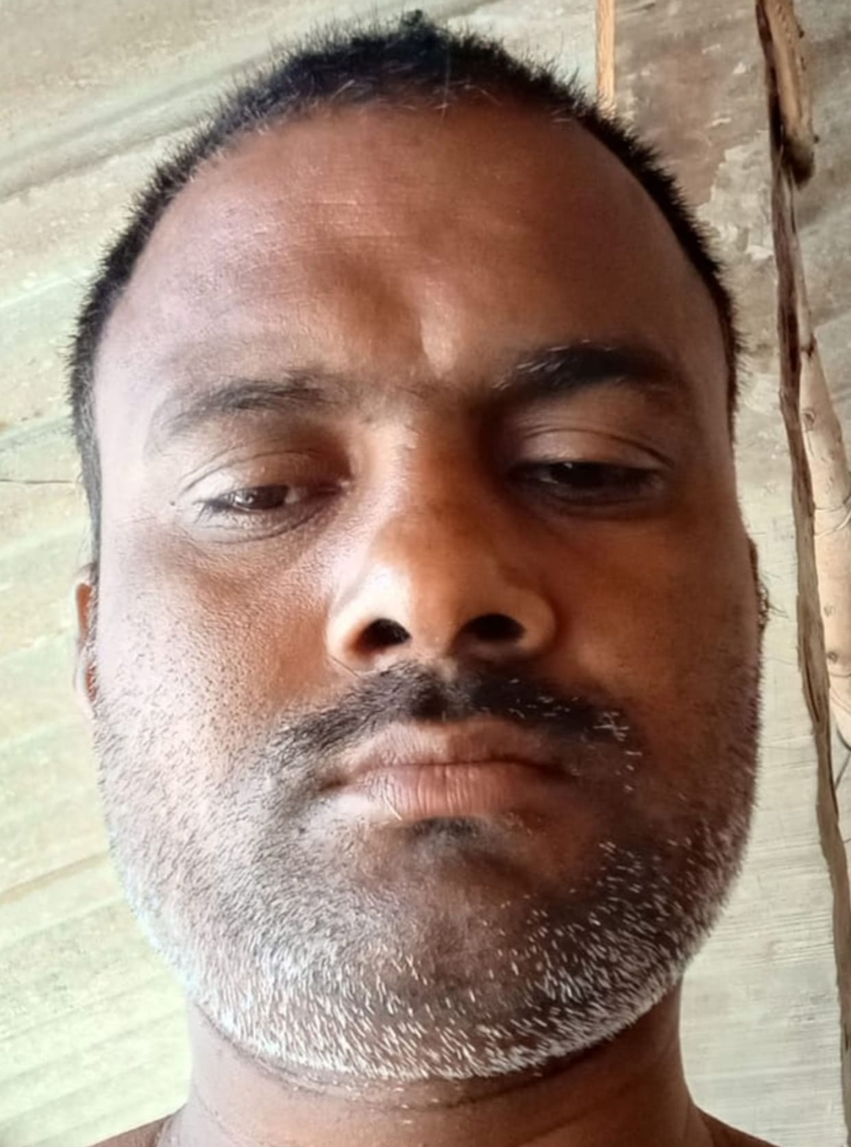 Bull attacks farmer, death