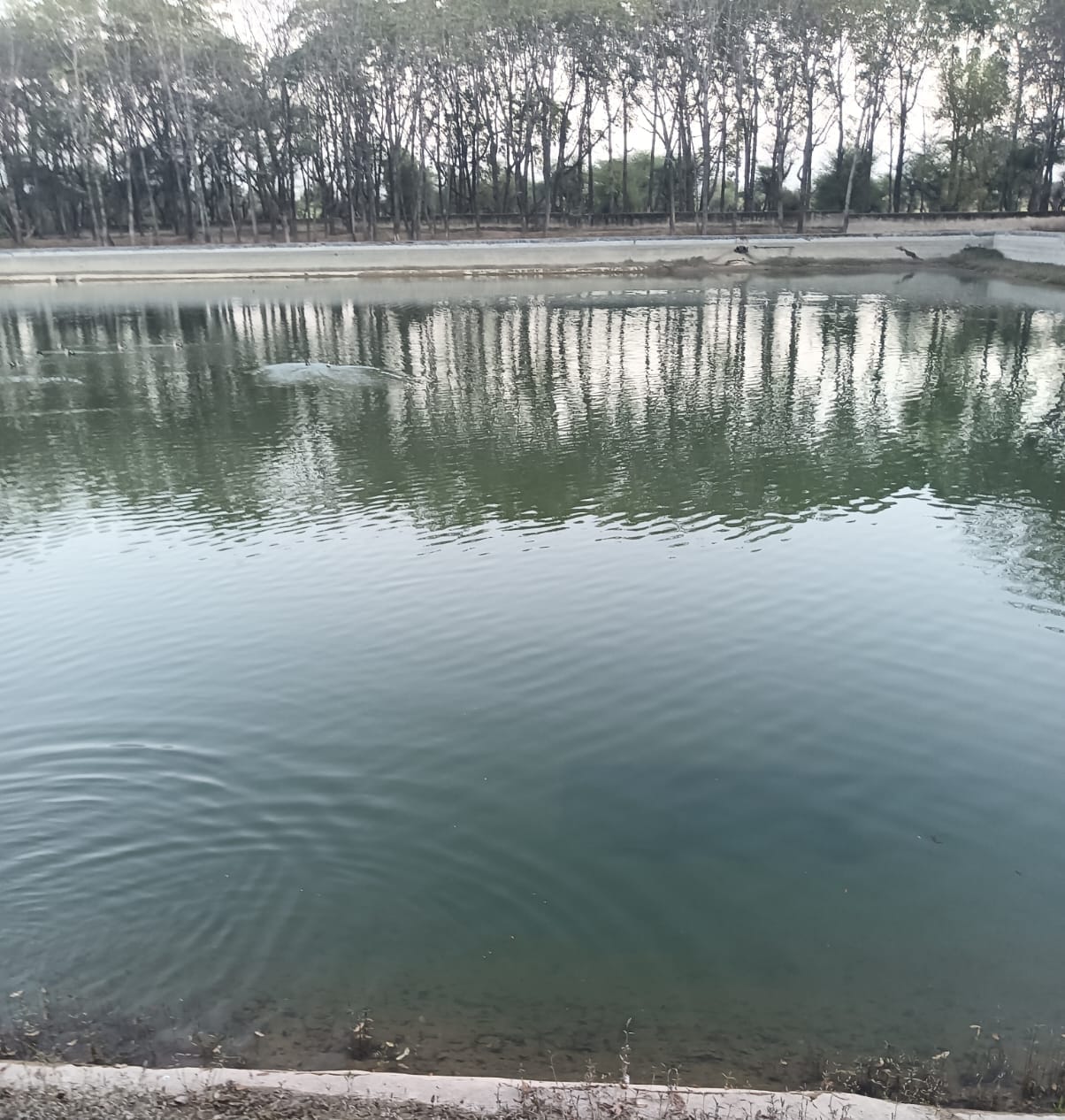 Water rationing will start after five days, canal water was closed on March 10