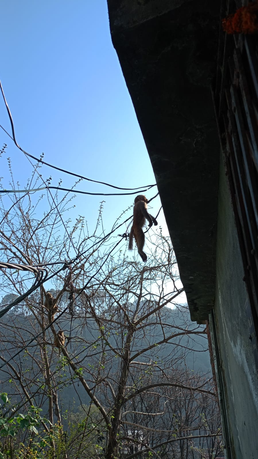 If you extend the house's balcony up to the power lines, you will not get the connection