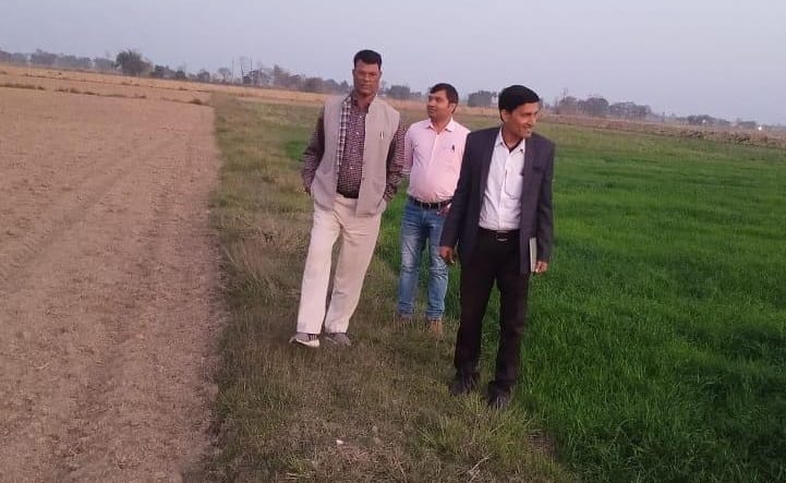 Green fodder will flourish on 40 acres of land of Gosadan