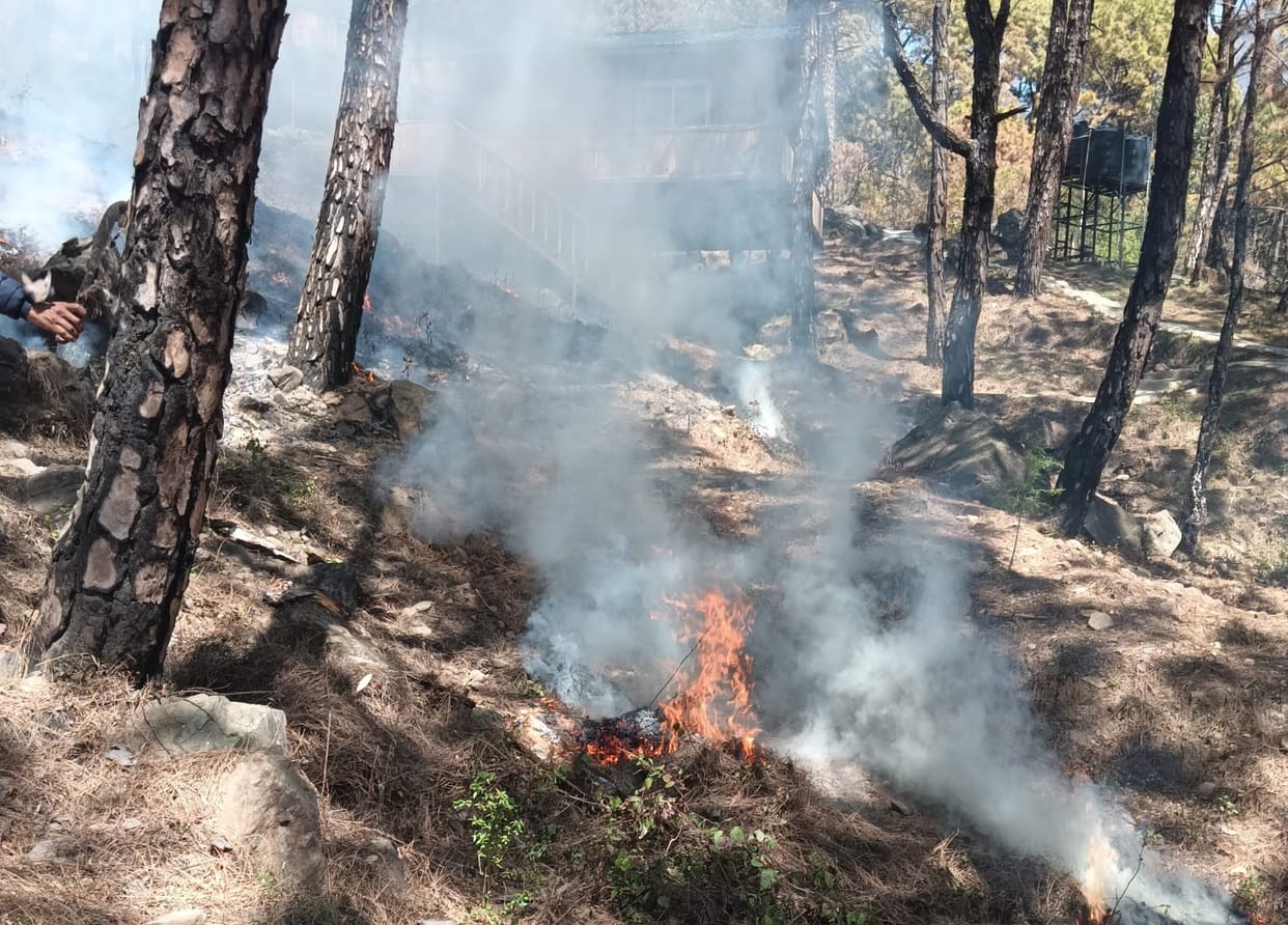 Forest department geared up to save forests from fire