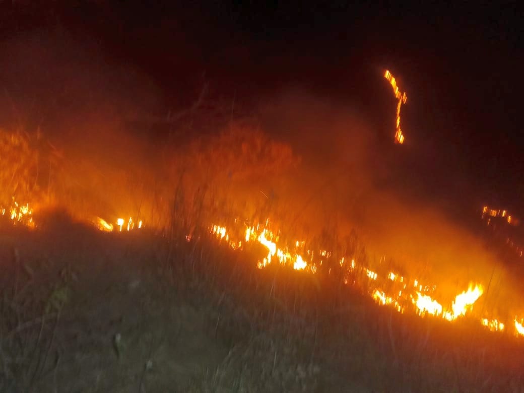 Nainital News: FIR will be filed against those who set fire in the forest in haldwani