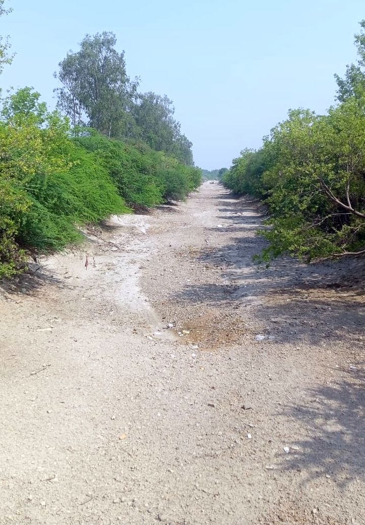 Water is not available from canals, Zaid sowing is lagging behind
