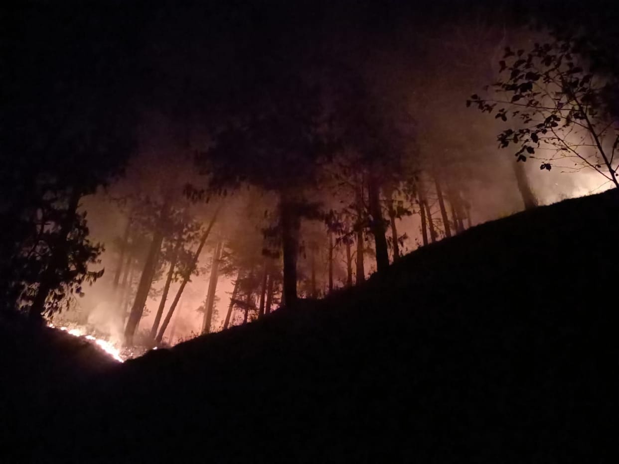 Forests burning in Pithoragarh, forest department silent