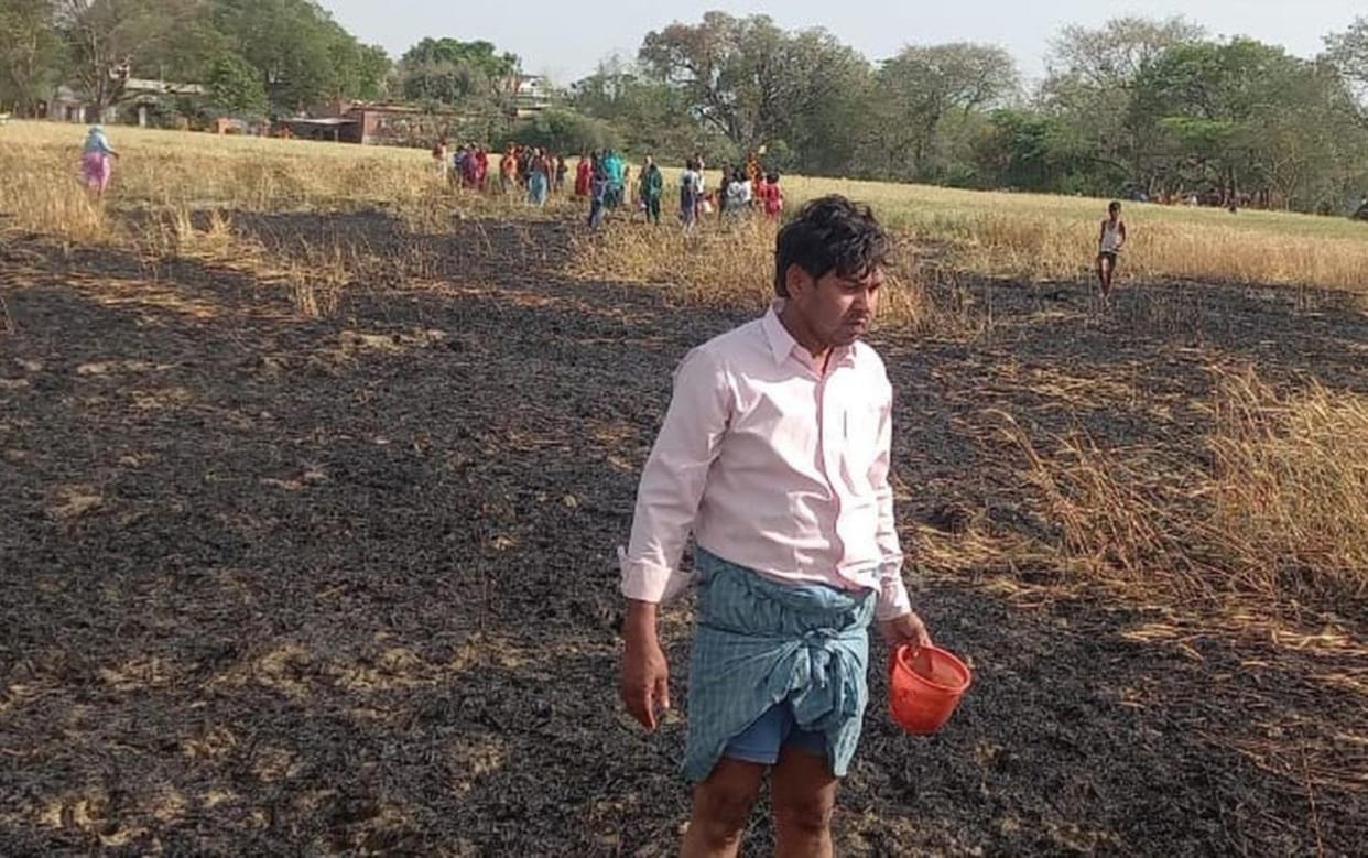 Wheat crop reduced to ashes due to fire