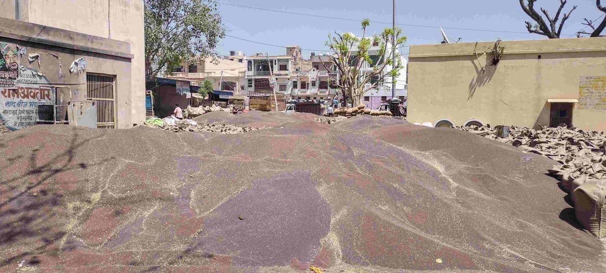 There is lack of space in Mahendragarh market, farmers have to sweat for tokens.