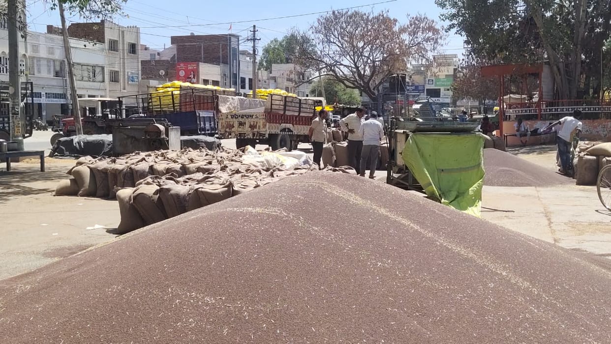 48,030 quintals of mustard purchased across the district, 50 thousand bags lifted