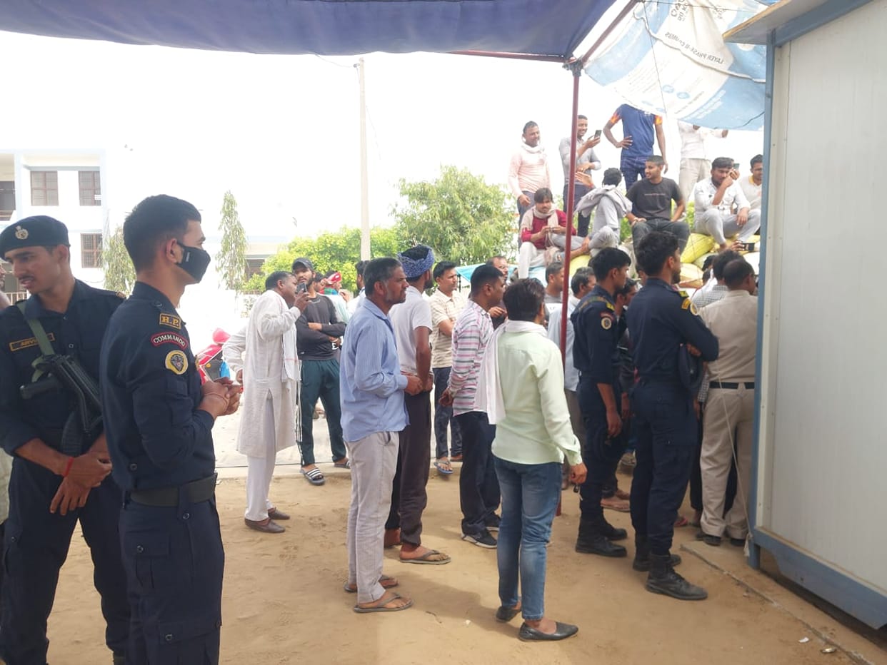 Mustard is decreasing in Kosli grain market