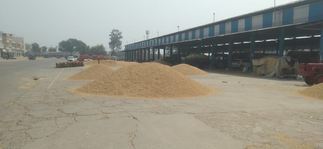 Market Committee Secretary gave instructions to middlemen to stop the purchase of paddy