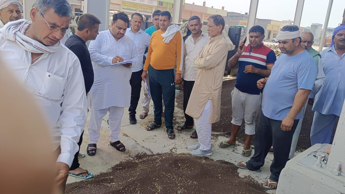 4633 quintals of mustard purchased in the markets, lifting continues