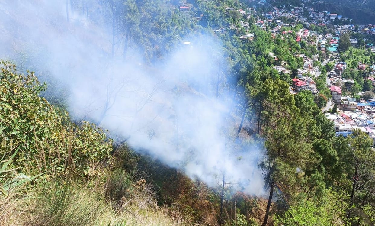 Fire broke out in the forest of Shamdhar forest beat, forest guard extinguished it