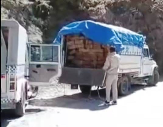 46 illegal sleepers of cedar along with vehicles recovered in Sarahan range of Chaupal
