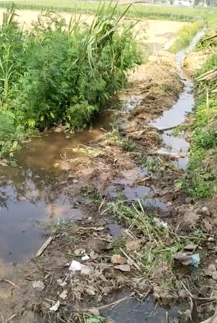 Population water is filling the fields, crops are getting ruined