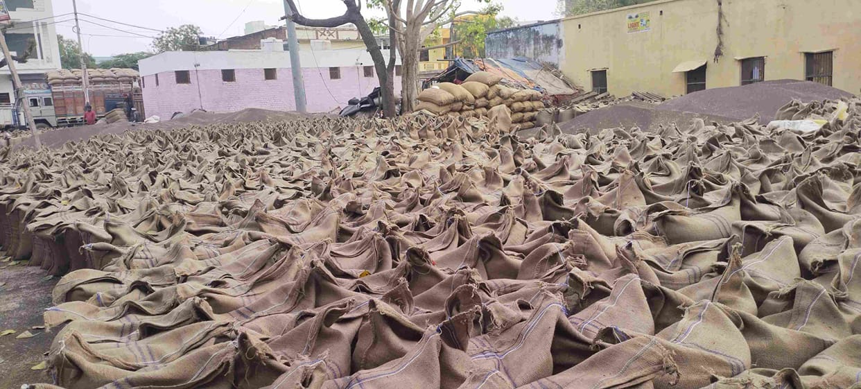 GPS mapping becomes hindrance in lifting, 73371 quintals of mustard purchased