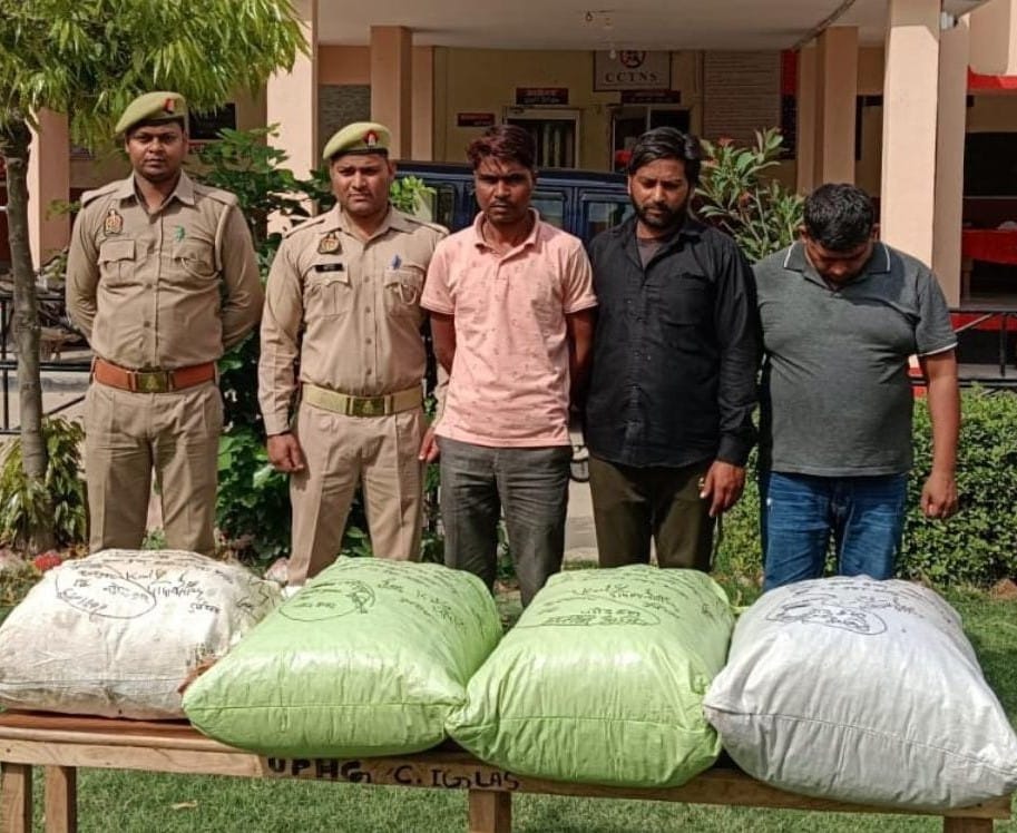 Three smugglers caught, 51 kg ganja recovered