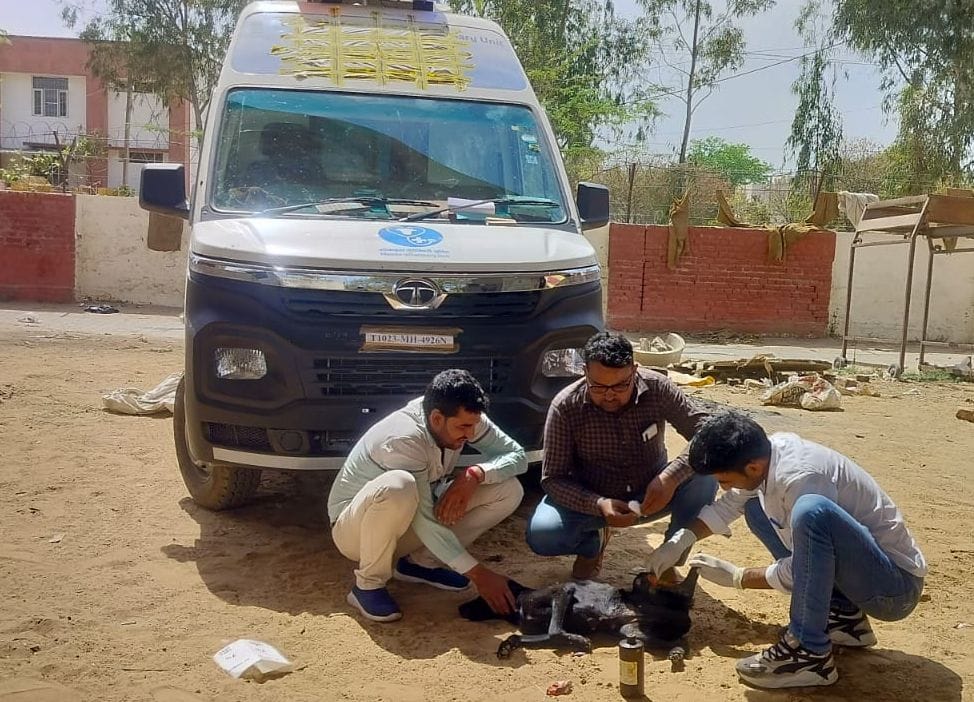 Now sick animals are being treated at home on one call