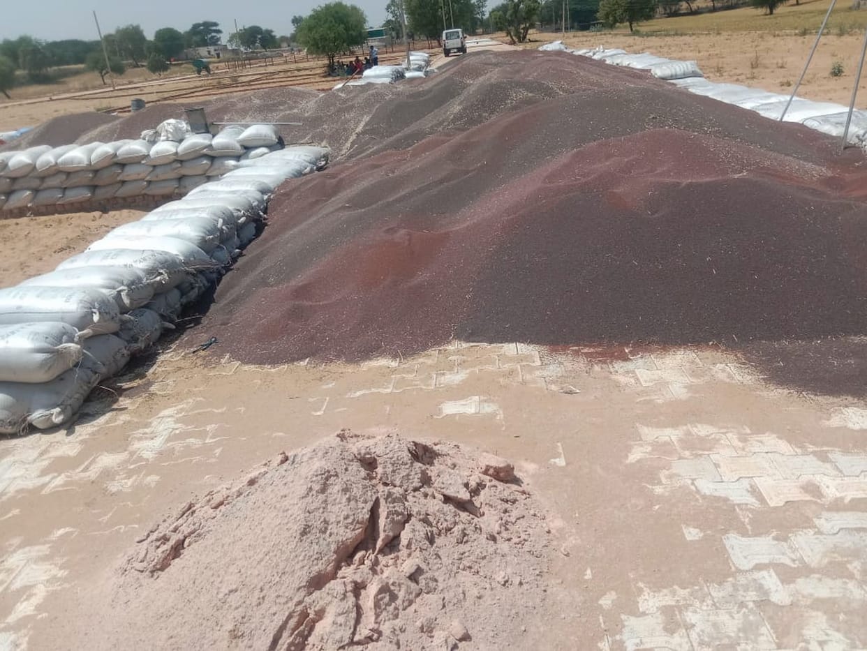 Illegal storage of mustard in fields caught, fine of Rs 21953 imposed