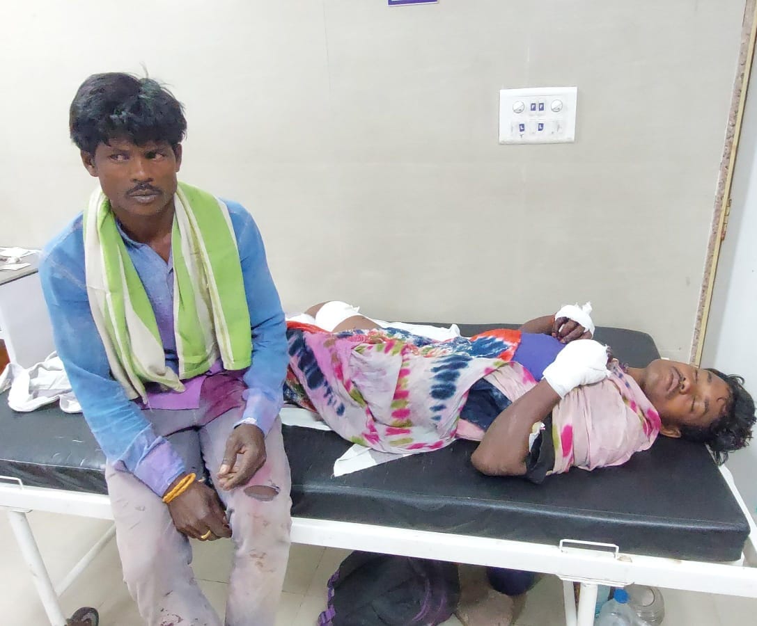 In Jogidabar village of Damoh, elder brother clashed with Gulbagh to save younger brother, both got injured