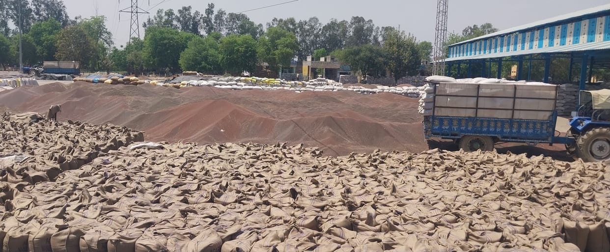 It takes 7-8 hours to get gate pass for sale of mustard, anger among farmers