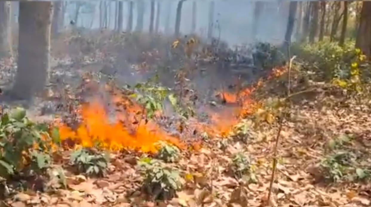 Four huts and six acres of wheat crop burnt to ashes due to fire
