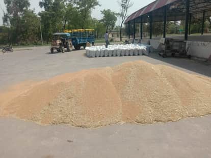 Relief Announced for Farmers Wheat Stocks Depleted in Delhi