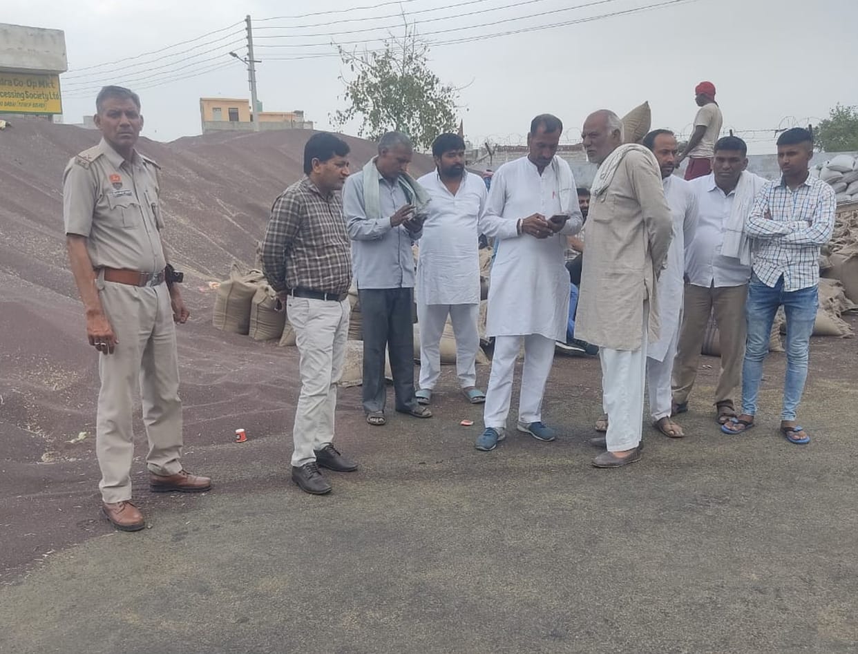 Mustard will not be purchased in Badhra for two days, lifting work will be done: SDM