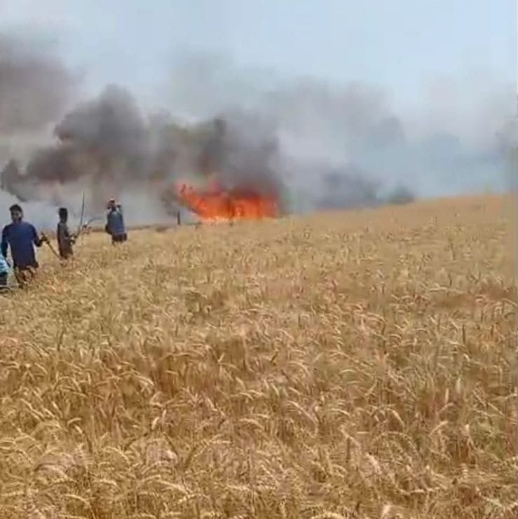 50 beegha wheat crop burnt