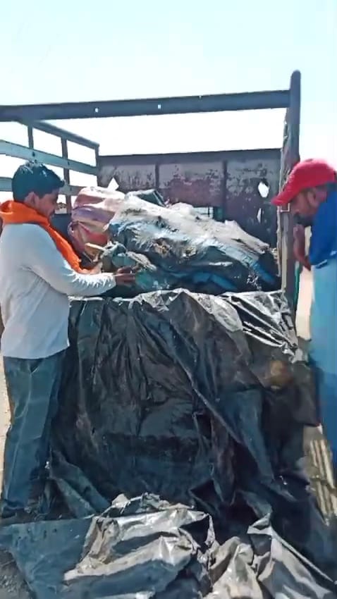 truck full of cow bones was caught again in Damoh's Bansatarkheda village