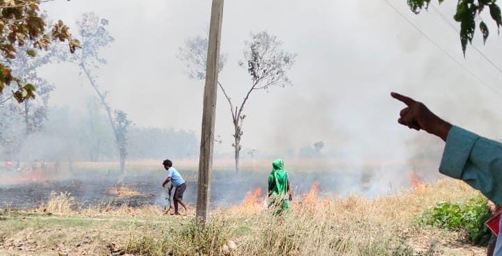 Seven houses and wheat crop reduced to ashes in fire