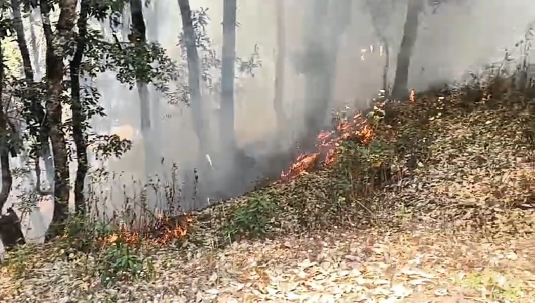 Uttarakhand News Villager died during extinguish forest fire had come to Pauri from Himachal for worship