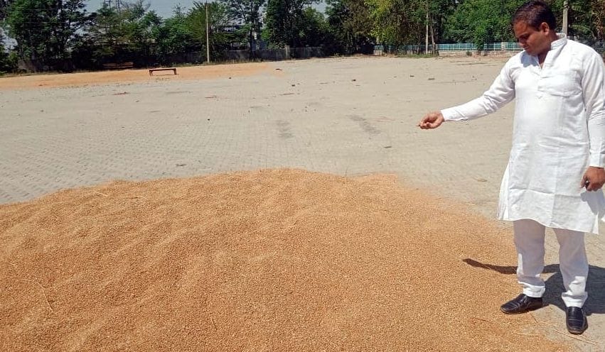 There will be agitation if there is no government purchase of mustard: Daljeet