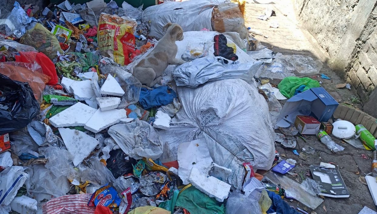 Cleaning arrangements are made in the city on Sunday holiday