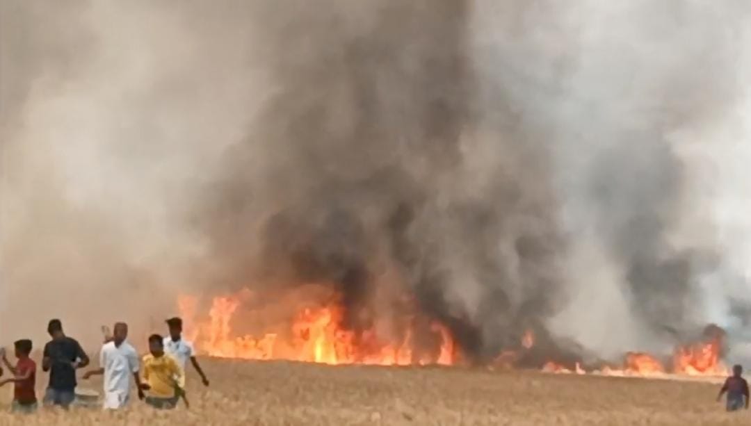 16 acre wheat crop reduced to ashes by fire