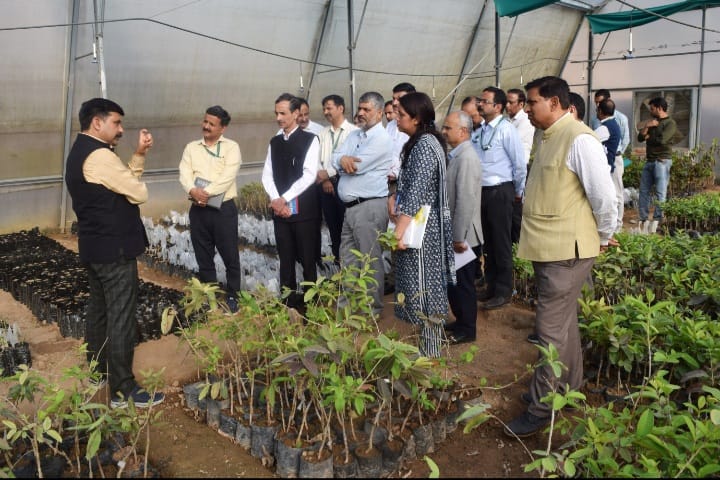 Researchers encouraged to develop forestry models