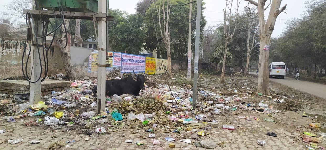 The cleanliness system in the city has broken down.