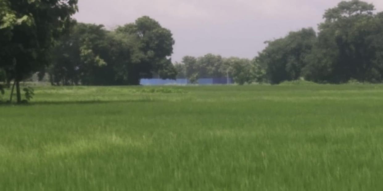 Goods worth crores seized from illegal warehouse in border area