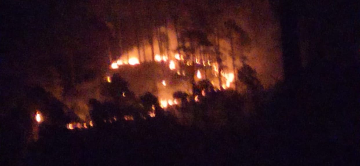 After Oder-Lingdi, now there is fire in the forests of Sarkot